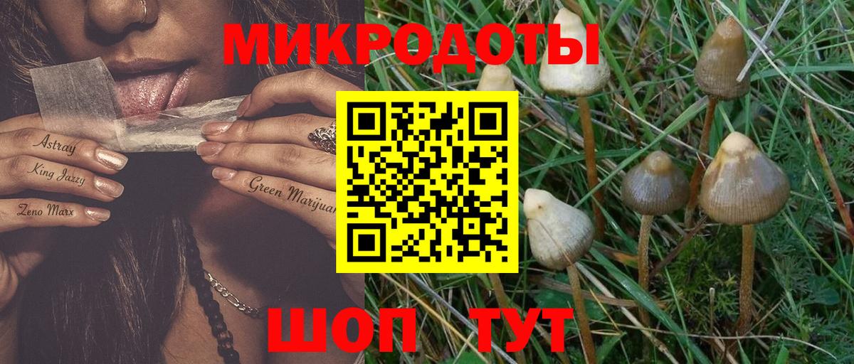 Ростов Великий  Псилоцибиновые грибы ЛСД  Вход с VPN 